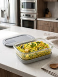 Glasafe fridge Storage Containers with airtight lid