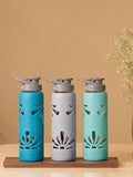 Three piece borosilicate glass water bottle set