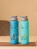Borosilicate glas water bottle sets 750ml